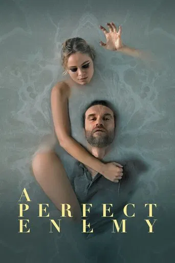 Poster A Perfect Enemy