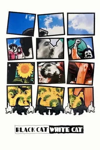 Poster Black Cat, White Cat
